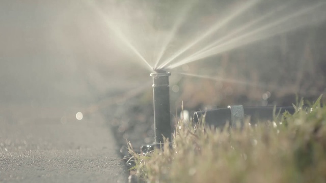 Video Reference: Atmospheric phenomenon, Water, Atmosphere, Sunlight, Sky, Plant