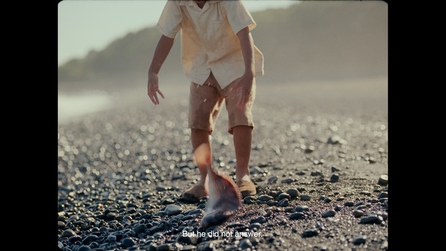 Video Reference: photograph, sky, leg, morning, girl, fun, sunlight, hand, shoe, foot, Person