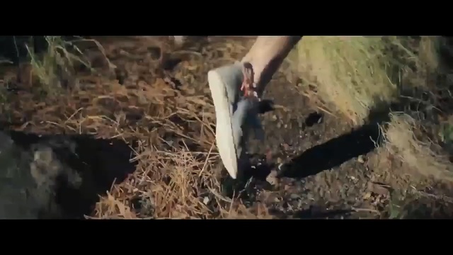 Video Reference: Soil, Tree, Geology, Plant, Wildlife, Extreme sport