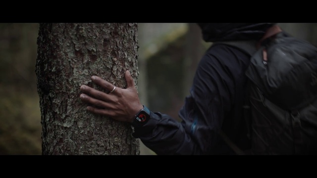 Video Reference: Tree, Woody plant, Human, Photography, Trunk, Adaptation, Jacket, Plant, Forest, Portrait
