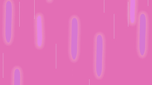 Video Reference: Pink, Violet, Text, Magenta, Red, Purple, Font, Line, Orange, Lilac, Food, Plate, Screenshot, Graphics