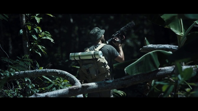 Video Reference: Action-adventure game, Green, Jungle, Soldier, Pc game, Biome, Movie, Screenshot, Airsoft, Digital compositing