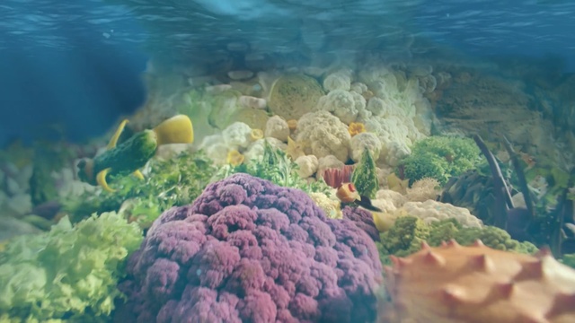 Video Reference: Reef, Coral reef, Underwater, Natural environment, Marine biology, Stony coral, Coral, Organism, Coral reef fish, Coastal and oceanic landforms