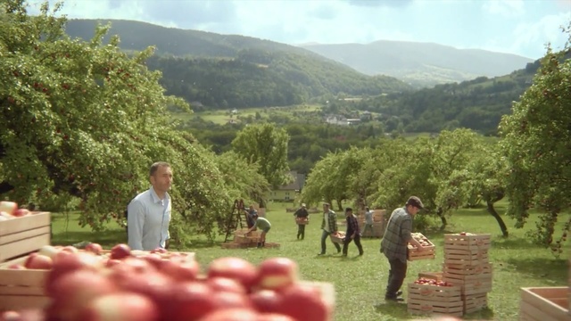 Video Reference: Hill station, Grass, Rural area, Plant, Plantation, Recreation, Farm, Hill, Leisure, Fruit, Person