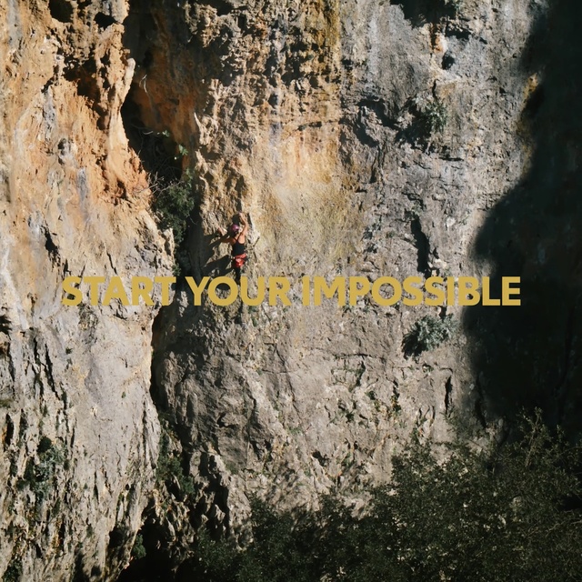 Video Reference: Rock, Formation, Bedrock, Geology, Tree, Outcrop, Geological phenomenon, Intrusion, Soil, Trunk