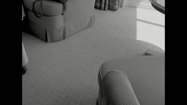 Video Reference: white, black, photograph, black and white, monochrome photography, floor, light, architecture, photography, wall