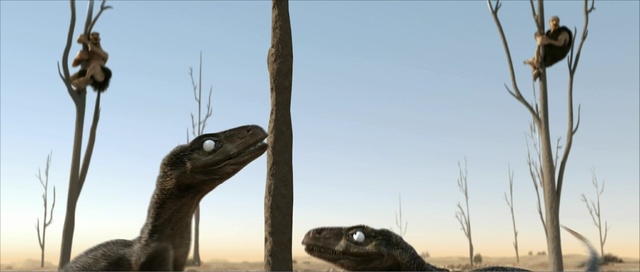 Video Reference: ostrich, ratite, flightless bird, beak, tree, emu, wildlife