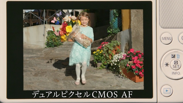 Video Reference: Photograph, Floral design, Snapshot, Adaptation, Flower Arranging, Floristry, Photography, Picture frame, Art, Photo caption