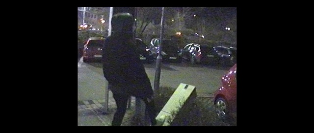 Video Reference: Tree, Photography, Animation