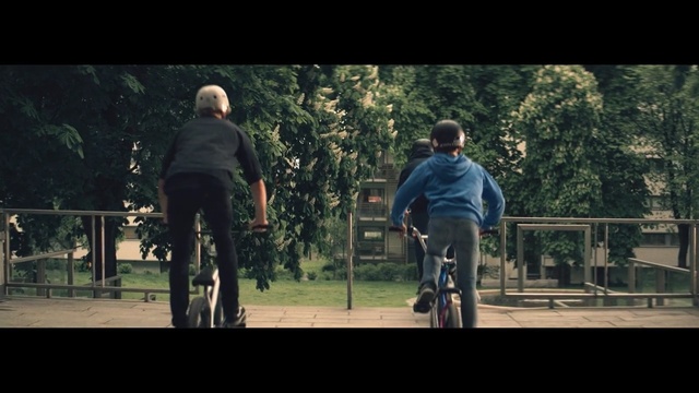 Video Reference: land vehicle, tree, vertebrate, cycle sport, bicycle, woody plant, vehicle, screenshot, plant, grass