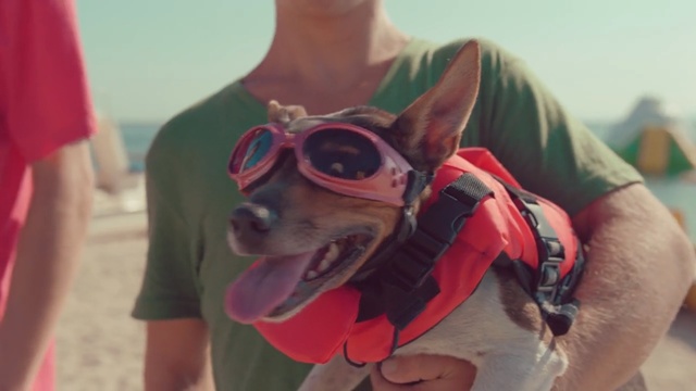 Video Reference: covering, mask, clothing, disguise, Person