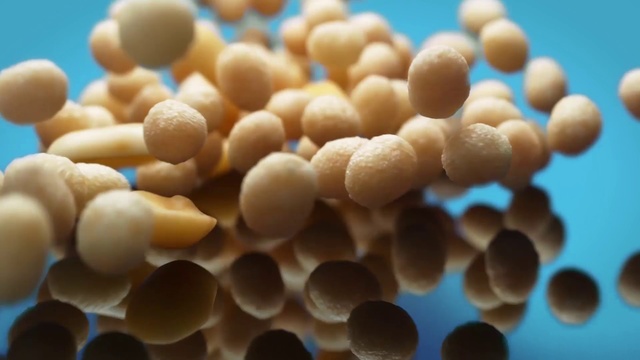 Video Reference: Food, Plant, Vegetarian food, Cuisine