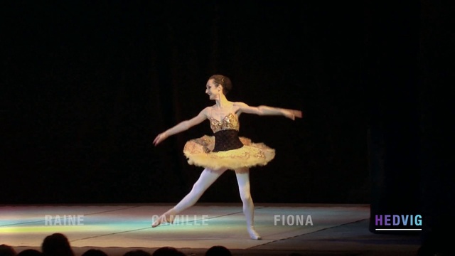 Video Reference: Dancer, Performing arts, Ballet, Entertainment, Dance, Ballet dancer, Concert dance, Choreography, Performance, Performance art