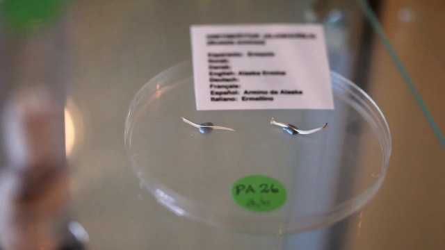 Video Reference: Material property