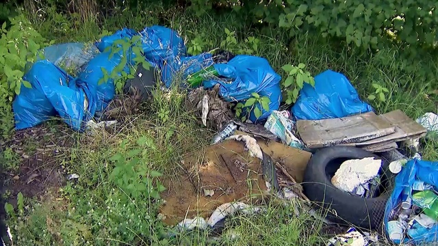 Video Reference: Plant, Soil