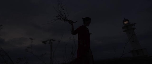 Video Reference: Black, Darkness, Sky, Night, Atmospheric phenomenon, Atmosphere, Branch, Tree, Photography, Midnight