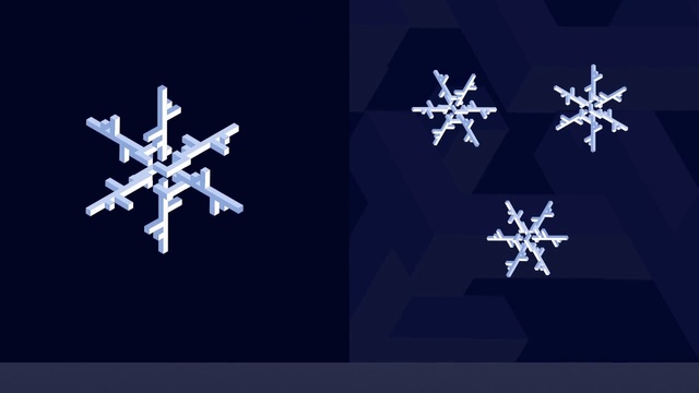 Video Reference: Snowflake, Illustration