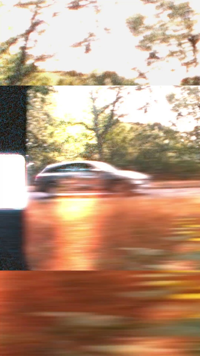 Video Reference: Sky, Light, Sunlight, Morning, Tree, Sunset, Evening, Sunrise, Automotive lighting, Tints and shades