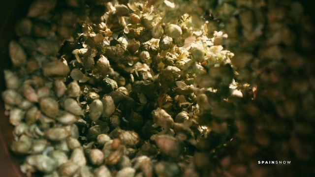 Video Reference: Spring, Plant, Organism, Flower, Photography