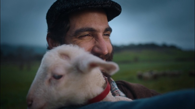 Video Reference: Sheep, Nose, Sheep, Goats, Smile, Snout, Livestock, Goat, Grass, Photography