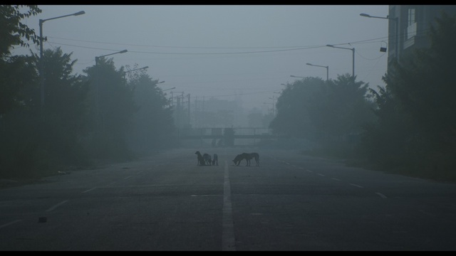 Video Reference: Atmospheric phenomenon, Sky, Fog, Mist, Morning, Atmosphere, Mode of transport, Tree, Road, Haze, Person