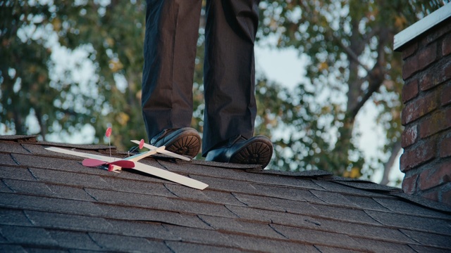 Video Reference: tree, wood, plant, outdoor structure, shoe, roof, grass