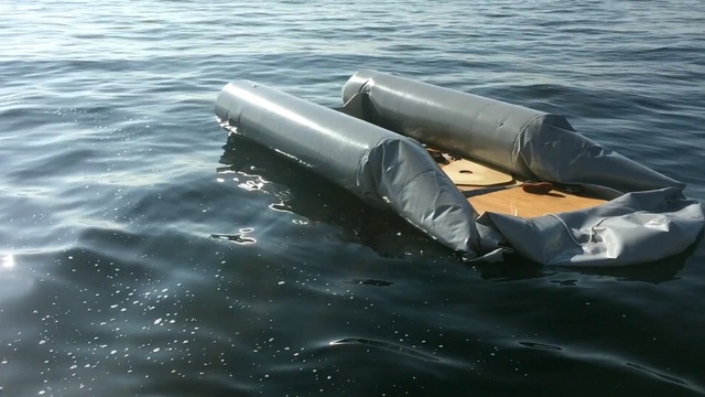 Video Reference: water, water transportation, boat, watercraft, vehicle, marine mammal