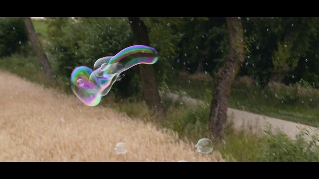 Video Reference: Nature, Organism, Grass, Photography, Tree, Sunlight, Extreme sport, Lawn