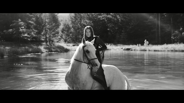Video Reference: Horse, Photograph, Black-and-white, Bridle, Monochrome photography, Photography, Stock photography, Recreation, Monochrome, Fun, Person