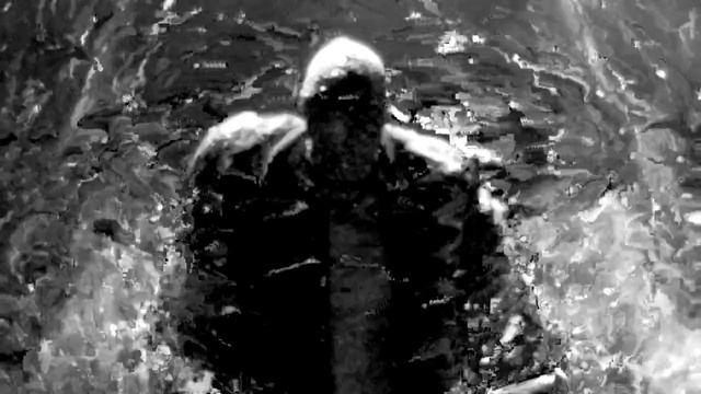 Video Reference: Water, Black-and-white, Monochrome photography, Photography, Organism, Monochrome, Style