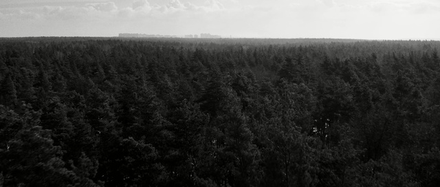 Video Reference: Black, Field, Black-and-white, Monochrome photography, Atmospheric phenomenon, Sky, Tree, Photography, Grass, Horizon