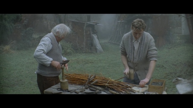 Video Reference: Adaptation, Plant