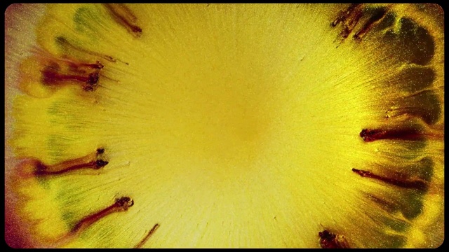 Video Reference: Yellow, Green, Plant, Flower