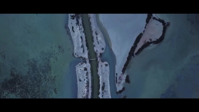 Video Reference: Water, Tree, Art, Painting, Wall, Ice, Organism, Modern art, Watercolor paint, Font, Person