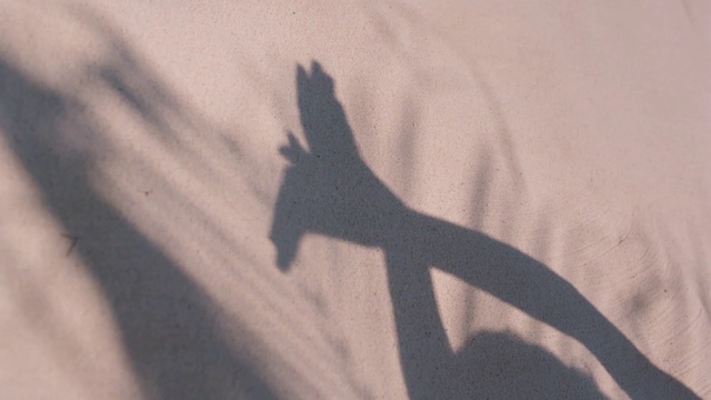 Video Reference: Shadow, Wing, T-shirt