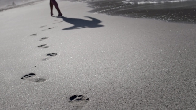 Video Reference: Sand, Black-and-white, Footprint, Shadow, Photography, Monochrome photography, Monochrome, Asphalt