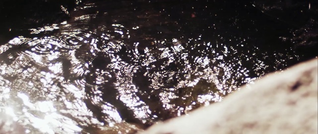 Video Reference: water, winter, freezing, tree, snow, reflection, sunlight, sky, night, darkness