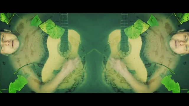 Video Reference: Green, Leaf, Organism, Symmetry, Adaptation, Art, World, Person