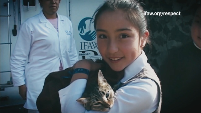 Video Reference: Python, Organ, Mouth, Jaw, Boa constrictor, Boa, Smile, Black hair, Ear, Python family, Person