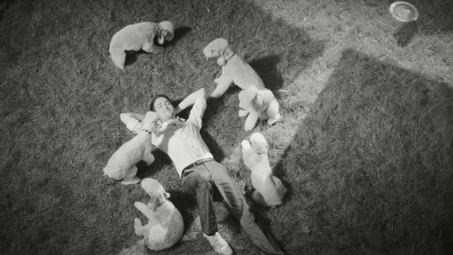 Video Reference: white, photograph, black, black and white, mammal, vertebrate, monochrome photography, photography, snapshot, monochrome