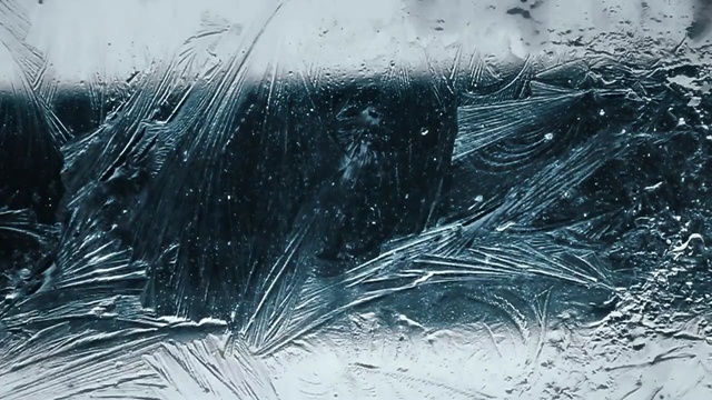 Video Reference: water, black and white, frost, freezing, monochrome photography, monochrome, winter, tree, computer wallpaper, visual arts