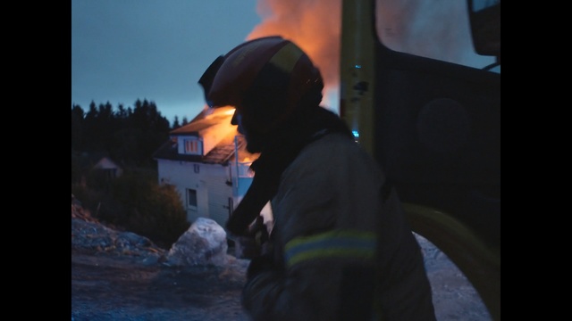 Video Reference: Sky, Tree, Photography, Heat