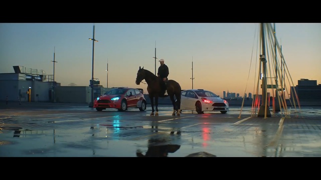 Video Reference: Horse, Mode of transport, Vehicle, Fun, Stallion, Car, Pack animal, Reflection, Evening