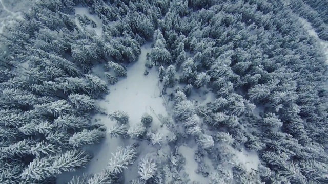 Video Reference: Geological phenomenon, Frost, Freezing, Winter, Snow, Biome, Tree, Sky, Ice, Plant, Person