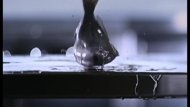 Video Reference: Drop, Water, Liquid, Still life photography, Photography