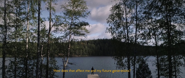 Video Reference: Nature, Tree, Natural landscape, Lake, Sky, Natural environment, Nature reserve, Water, Wilderness, Bayou