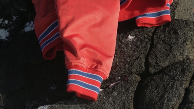 Video Reference: Red, Jersey, Sportswear, Textile, Jacket, T-shirt, Sleeve, Person