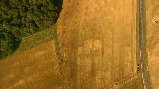 Video Reference: Yellow, Wood