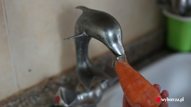 Video Reference: Beak, Bird, Water bird, Duck