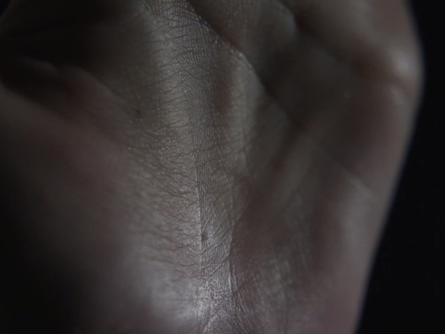 Video Reference: black, skin, nose, close up, finger, hand, chin, joint, forehead, macro photography